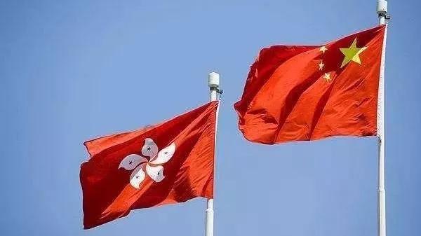 城区梅花盛放 市民公园邂逅“梅”好